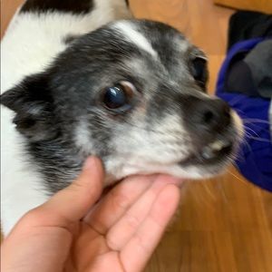 Meet your Posher, Brooklynn